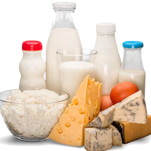 Milk & Milk Products