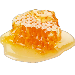 Honey & Waxes